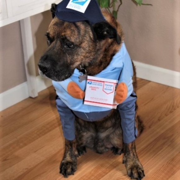 USPS Other - USPS Delivery Dog Costume Sz L